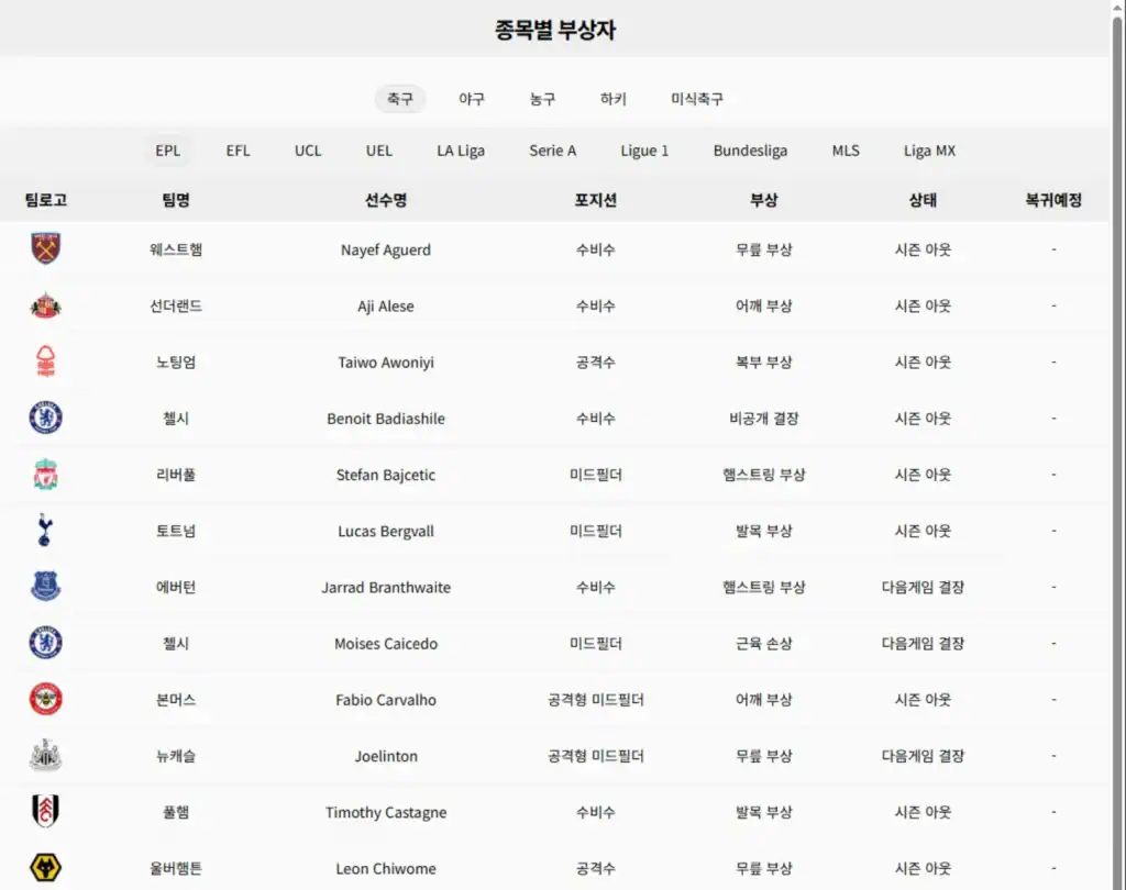 축구 종목별 부상자 현황 표. 팀명, 선수명, 포지션, 부상 유형, 복귀 일정 등 EPL 리그 주요 선수들의 부상 상태를 보여주는 표 형식.