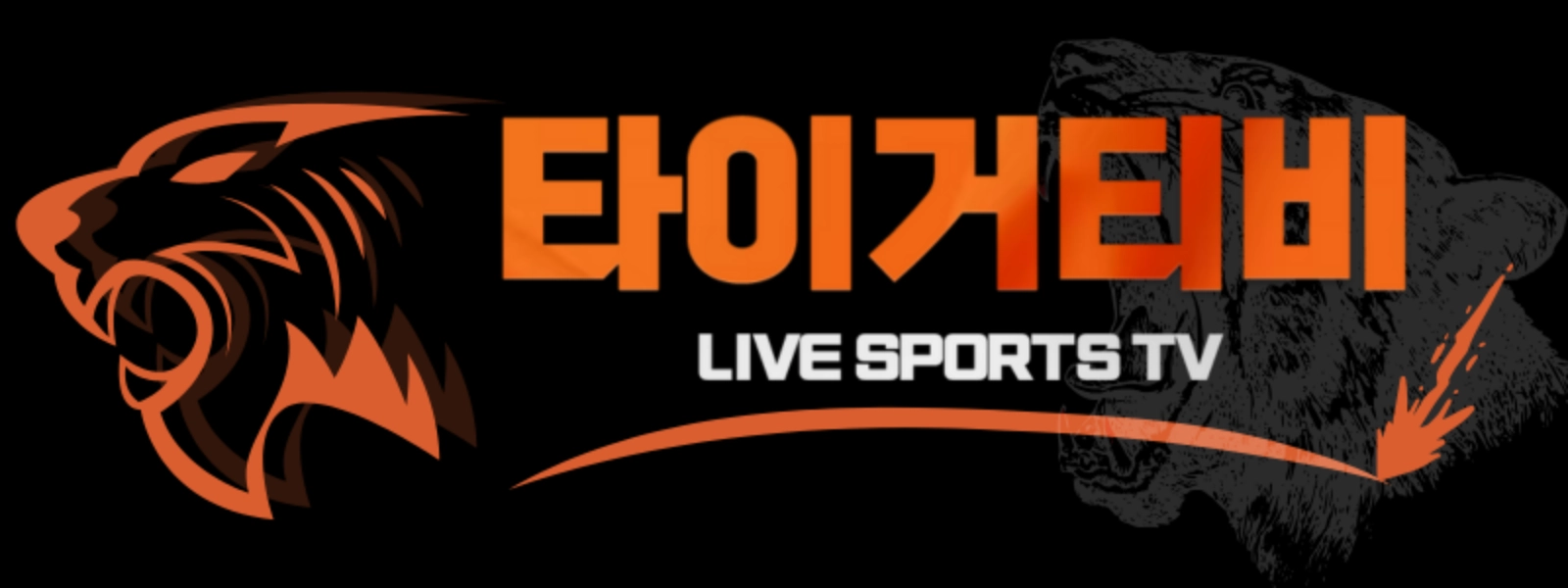 타이거티비 - 실시간 스포츠중계 플랫폼 공식 로고